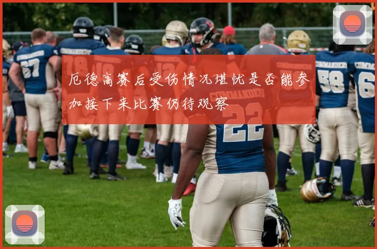 厄德高赛后受伤情况堪忧是否能参加接下来比赛仍待观察