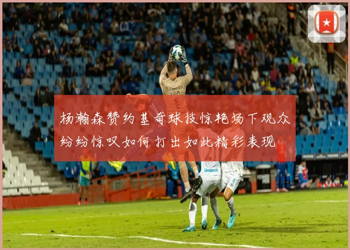 杨瀚森赞约基奇球技惊艳场下观众纷纷惊叹如何打出如此精彩表现